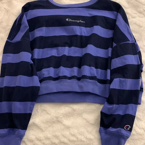 Champion striped crewneck hotsell